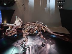 -墨尔本博物馆(Melbourne Museum)