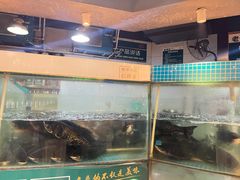 -老傅家湘潭水煮活鱼店(众一国际店)