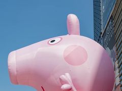-金光华广场