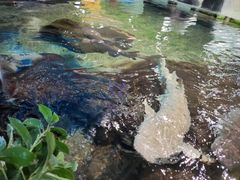 -鸿通城购物中心