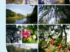 -新江湾城公园