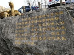 -石老人观光园