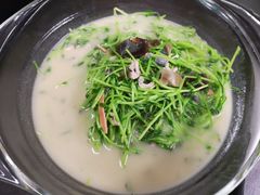 -唐伯虎新派湘菜馆(石夏时代广场店)