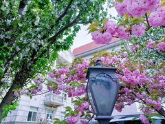 -天津五大道文化旅游区