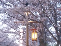 -长田漾湿地公园