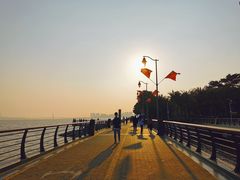 -深圳湾公园(南山区)