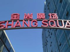-金尚源SHANG
