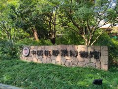 -西湖风景区-江洋畈生态公园