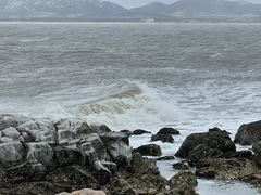 -养马岛旅游度假区