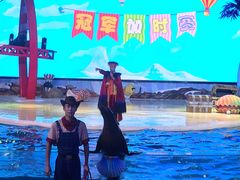 -三亚海昌梦幻海洋不夜城