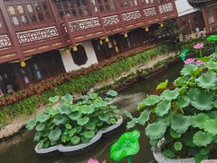 -沈大成(城隍庙店)