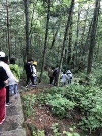 -帽儿山风景区