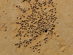 -青岛第三海水浴场