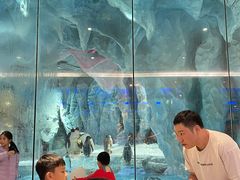 -帝企鹅自助餐厅•儿童岛•真企鹅(长隆企鹅酒店)