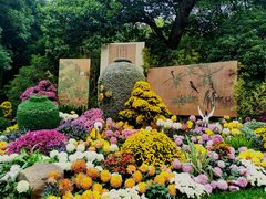 -杭州植物园