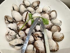 -吴记富苑(朝阳店)