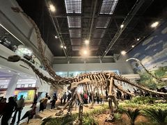 -自贡恐龙博物馆