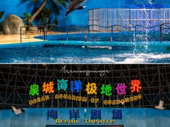 -泉城欧乐堡海洋极地世界