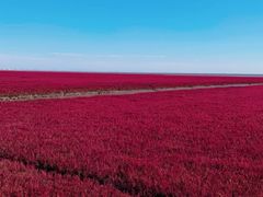 -红海滩国家风景廊道