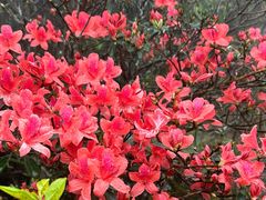 -广东天露山旅游度假区