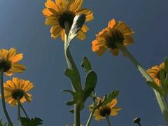 -洪记江鹰包行总店