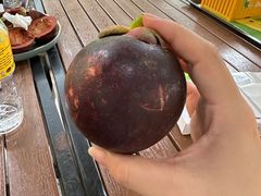 -榴莲BB 四季果园