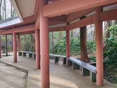 -九曜山