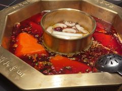 -蜀九香火锅(彩虹店)