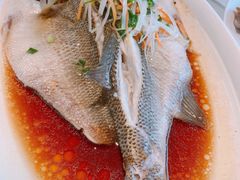 -普天和酒楼·新津菜·烤鸭(天津之眼店)