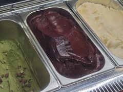 -极拉图·现制冰淇淋(大卫城店)