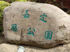 -嘉定紫藤园