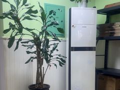-学知乐教育·幼小衔接·小学科辅导(嘉定镇校区)