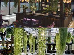 -常州花鸟园酒店(西太湖品牌优选店)