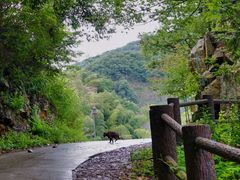 -水墨汀溪风景区