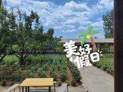-冯家大院-中餐厅(滦赤路店)