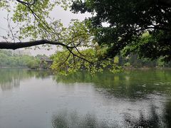 -棠湖公园