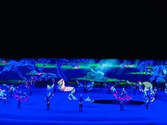 -鼎盛王朝康熙大典实景演出