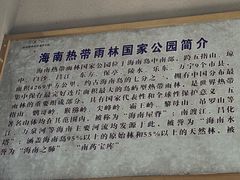 -海南热带雨林国家公园吊罗山景区