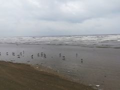 -大鹿岛