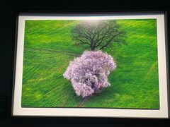 -罗红摄影艺术馆