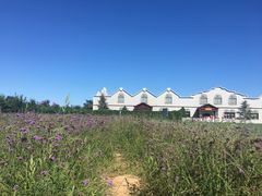 -渔岛海洋度假区