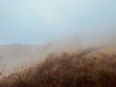 -敬亭山风景名胜区