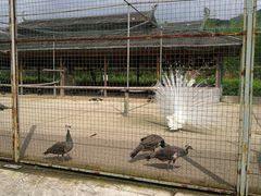 -韶关经律论国际酒店温泉