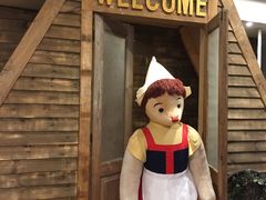 -济州岛泰迪熊博物馆