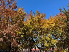 -辽宁大学(崇山校区)