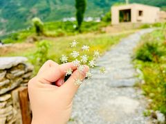 -萝卜寨羌文化生态旅游区