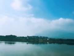 -廖哥泡椒兔(峨眉店)