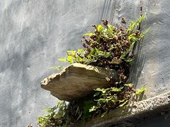 -圣莲山风景区