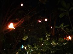 iphone_upload_pic-月满港海鲜酒家