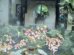 -东莞植物园